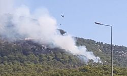 Antalya'da orman yangını başladı: Müdahale sürüyor