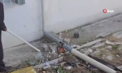 Haymana’da binanın bahçesine giren yılan panik yaşattı