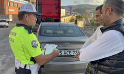 Yola çıkan kedi kazaya neden oldu