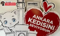 Ankara kedileri Pursaklar’da koruma altında