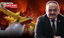 Türk Tarım Orman-Sen Genel Başkan Yardımcısı Hasan Nuri Akça: "Yanan yerlere otel yapılması imkansız"