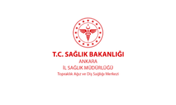 ARAÇ KİRALAMA HİZMETİ ALINACAKTIR