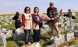 Beypazarı’nda pestisit kullanımına sıkı denetim