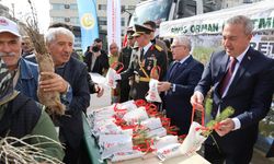 Cumhuriyet Bayramı'nın 102. yılında fidanlar toprakla buluştu