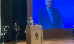 Hakan Han Özcan: “Meydanlarda şov yapıyorlar”