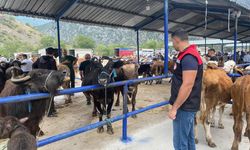 Şap hastalığı nedeniyle hayvan pazarı kapatıldı
