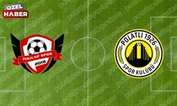 İnkılapspor - Polatlı 1926 SK maçı PFDK'ya taşındı! En az 2 maç men cezası yolda