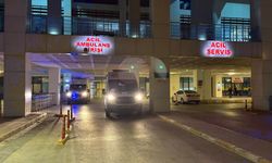 Oğlunun baltalı saldırısına uğrayan anne, hayatını kaybetti!