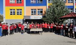 Perihan Erdoğan Ortaokulu’ndan sokak hayvanlarına büyük destek
