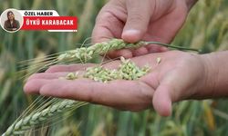 Polatlı Ticaret Borsası’nda işlem hacmi arttı, fiyatlar dalgalı seyretti