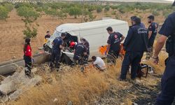 Seyir halindeki kamyonet şarampole uçtu!
