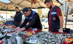 Sincan'da balık tezgahlarına sıkı denetim