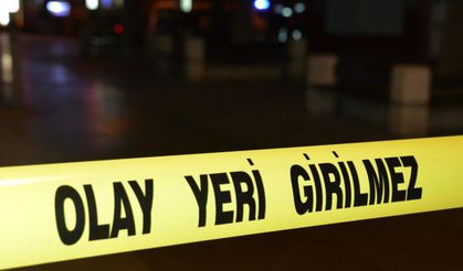 Ankara'da saman yüklü kamyonet devrildi, sürücü hayatını kaybetti