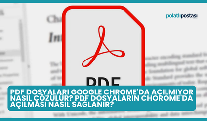 PDF Dosyaları Google Chrome'da Açılmıyor Nasıl Çözülür? PDF Dosyaların Chorome'da Açılması Nasıl Sağlanır?
