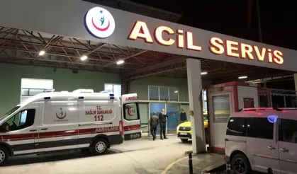 Sokak köpekleri tarafından parçalanmaktan son anda kurtuldu