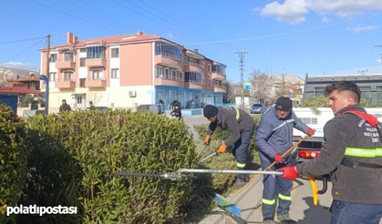Nallıhan Belediyesi Çayırhan'da güzelleştirme çalışmalarına devam ediyor