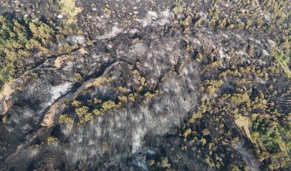Orman yangınlarıyla mücadele eden Karabük’ün son hali yürek burkuyor