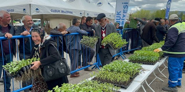 1 milyon sebze fidesi üreticilere dağıtıldı