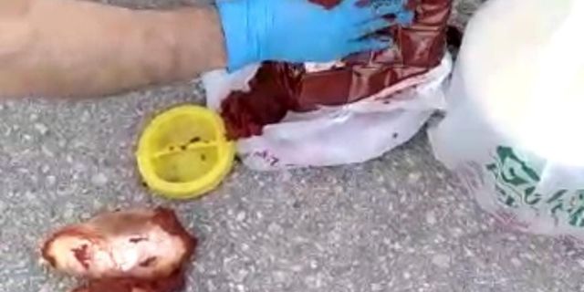 Salça bidonundan çıkanlar hayret ettirdi