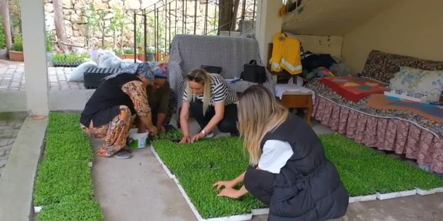Köylü kadınlara gelir kapısı açan projede çiçek dağıtımları yapıldı