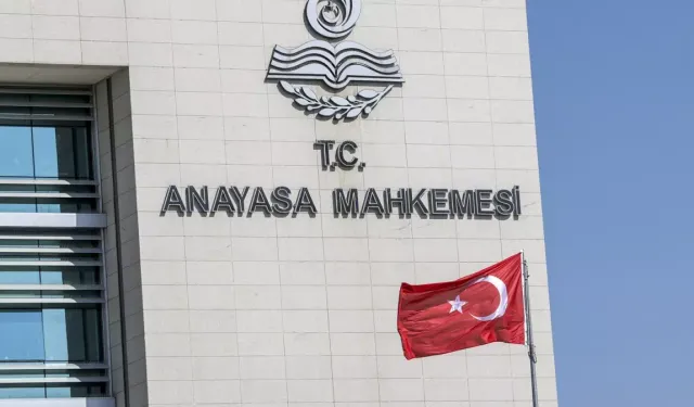 AYM'den sahipsiz köpek düzenlemesine onay
