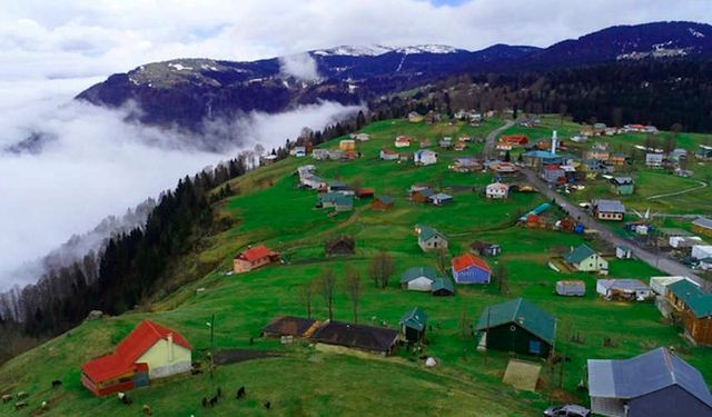 Trabzon'un En Güzel 9 Yaylası: Doğa Harikası Yerler