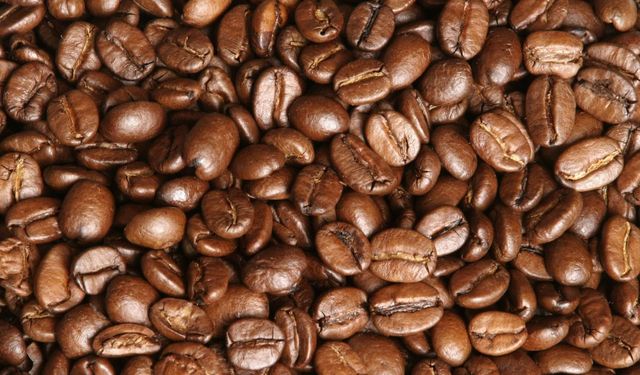 Dünyanın en popüler kahvesinin izi 600 bin yıl önceye dayanıyor