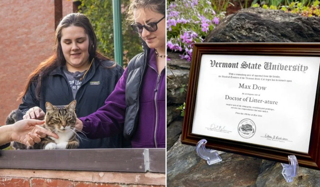 ABD’de kediye doktora diploması verildi