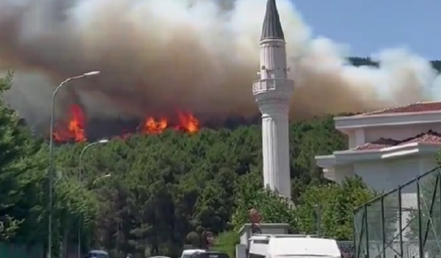 Aydos ormanında yangın: Alevler yerleşim yerlerine doğru ilerliyor