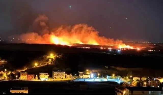 Diyarbakır’da yine anız yangını! Alevler hızla yayıldı