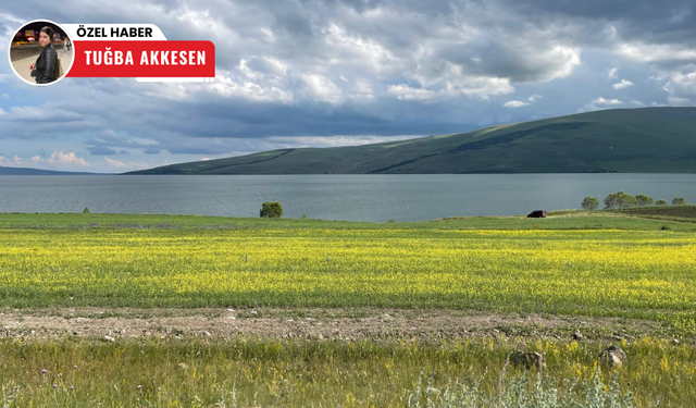 Doğu Anadolu Bölgesi’nin en büyük ikinci gölü: Çıldır Gölü
