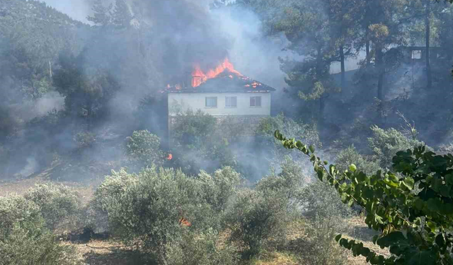 Köyceğiz'de yangın felaketi: Evde başlayan yangın ormana sıçradı!