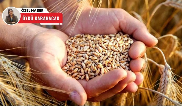 Polatlı Ticaret Borsası’nda buğday hareketliliği devam ediyor