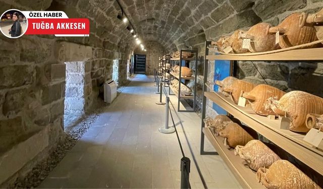 Dünyanın en büyük Doğu Akdeniz ‘amphora koleksiyonu’ Bodrum’da