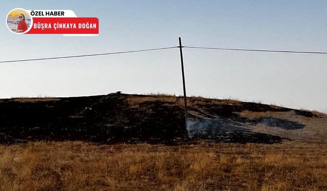 Polatlı'da ‘anız yakımı’ yasak olmasına rağmen devam ediyor!