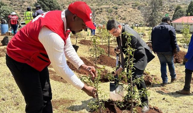 TİKA’nın çevre koruma projesi: 200 fidan bağışlandı