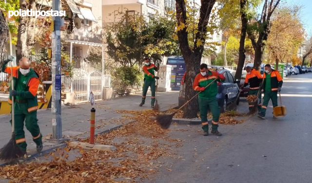 Çankaya'da Sonbahar Yaprakları Hem Görsel Şölen Hem Tehlike!