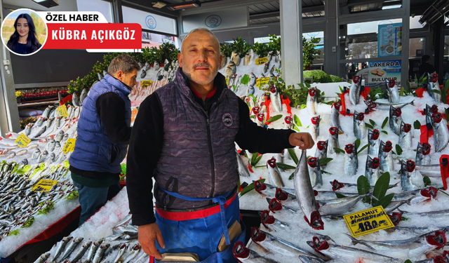 Kızılay'da balık bolluğu: Palamut tezgahlarda, hamsi cep yakıyor