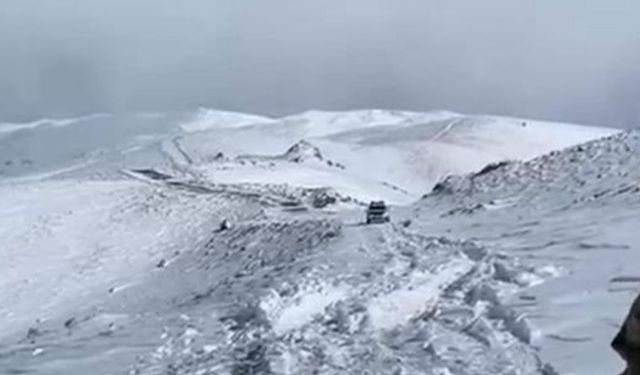 Ankara'da yaban hayvanları unutulmadı