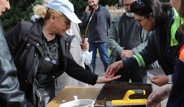Bitkiler emin ellerde: Bahçıvanlık eğitimleri devam ediyor