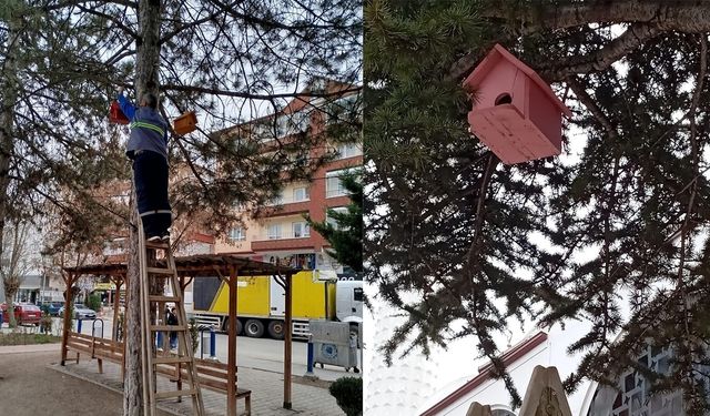 Kahramankazan'da kuşlara yeni yuvalar