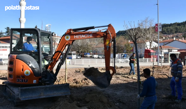 Nallıhan yeşilleniyor! Belediyeden anlamlı çalışma