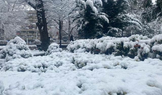Ankara’da bahar çiçekleri kar altında kaldı