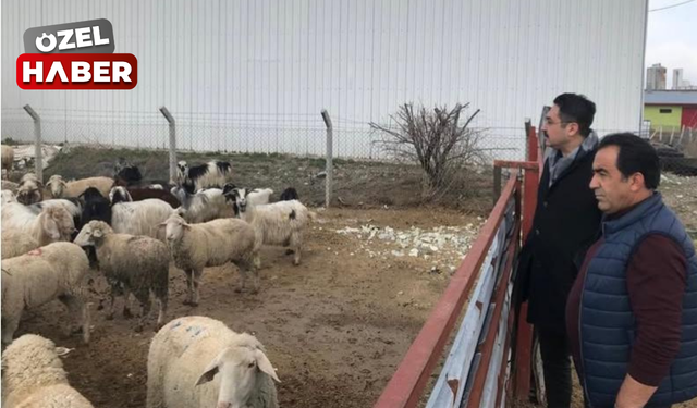 Bala Kaymakamı Yıldırım’dan Ziraat Odası Başkanı Yalçın'ın çiftliğine ziyaret