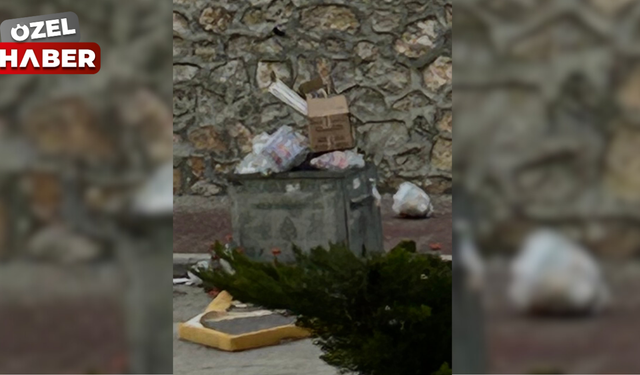 Çankaya’daki çöp krizine mahalleliden tepki: "Fareler gelmeye başladı"