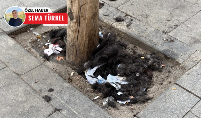 Çankaya'nın göbeğinde çevre sorunu: Ağaç dipleri çöplüğe döndü