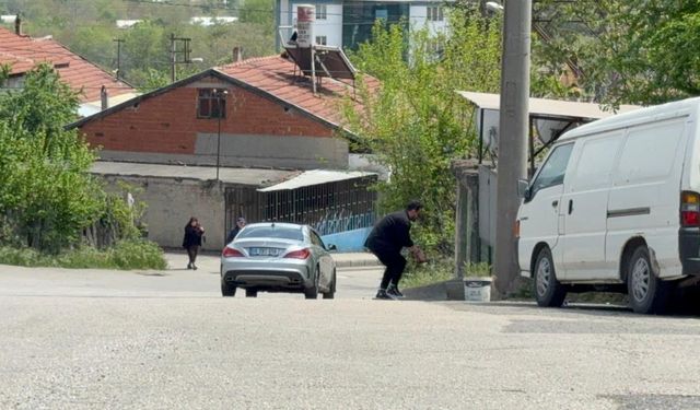 Duyarlı vatandaşlar kaplumbağaları ölümden kurtardı