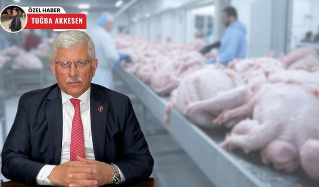TVHB Başkanı: Hayvansal ürünlerin güvenliği için veteriner hekim denetimi şart