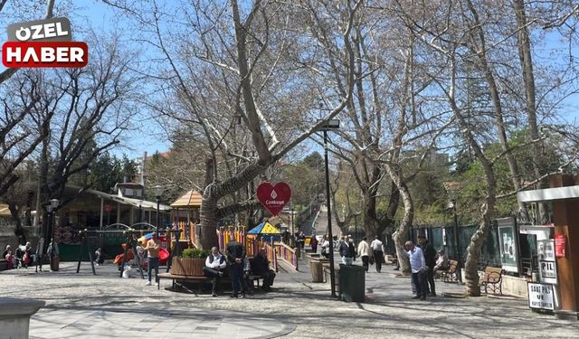 Başkentliler bahar ayında Kuğulu Park’ın keyfini çıkardı