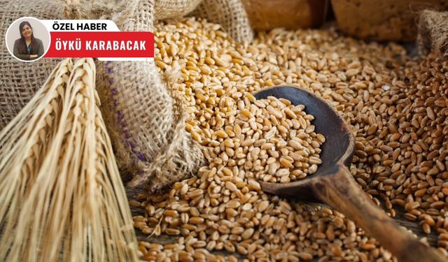 Polatlı’da borsa verileri açıklandı: Fiyatlar ve işlem hacminde dikkat çeken değişim!
